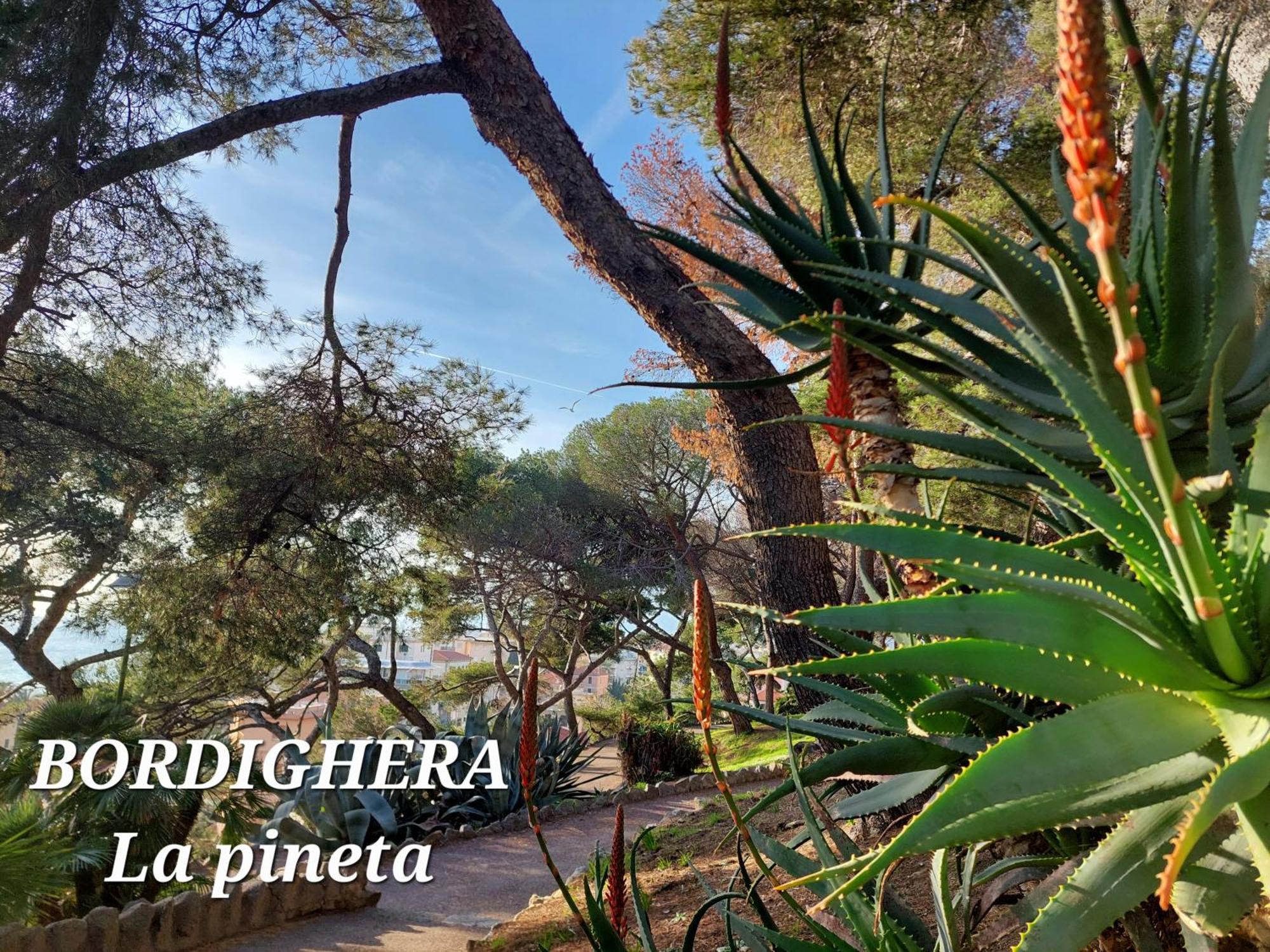 Emozioni Casa Vista Mare Bordighera Exterior foto