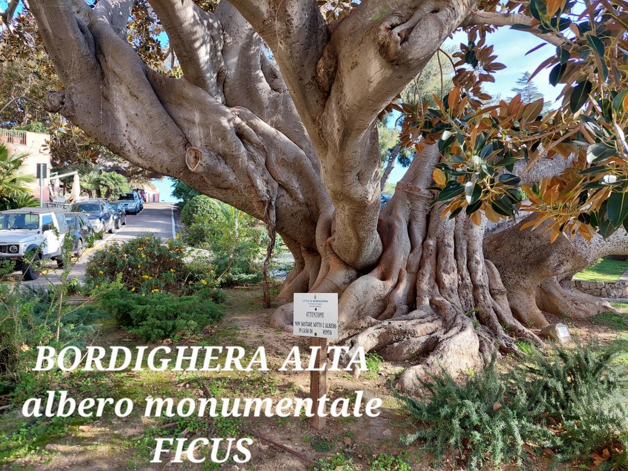 Emozioni Casa Vista Mare Bordighera Exterior foto